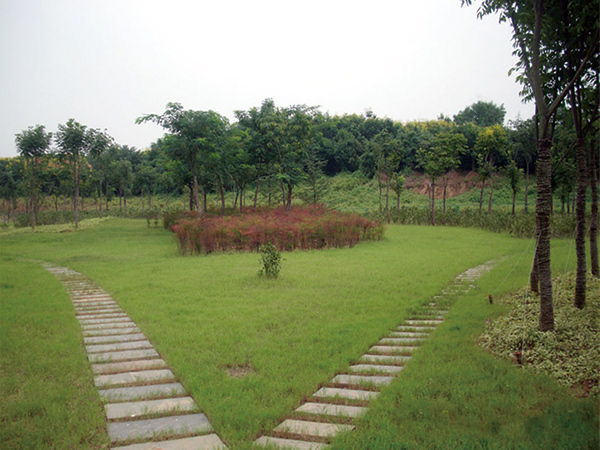 竹林增压站室外景观绿化项目